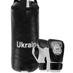 Боксерский набор детский (перчатки+мешок) LEV UKRAINE LV-9940 (PVC, мешок h-40см, d-15см, цвета в ассортименте)